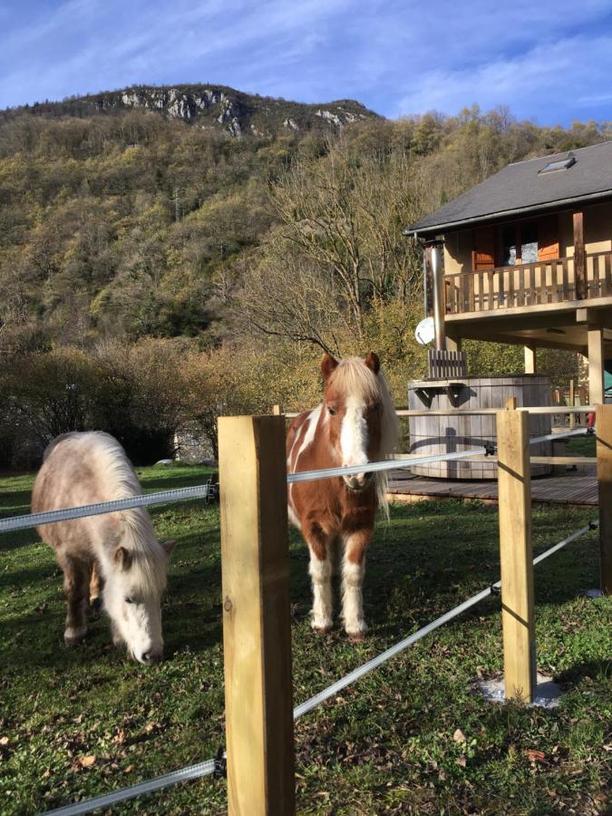 Les Marmottes Pour 12 Avec Bain Nordique Privatif Villa Camous Kültér fotó